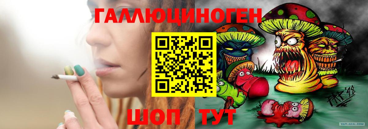 Киселёвск  Галлюциногенные грибы Psilocybe  Псилоцибиновые грибы Psilocybine cubensis  Вход с VPN 